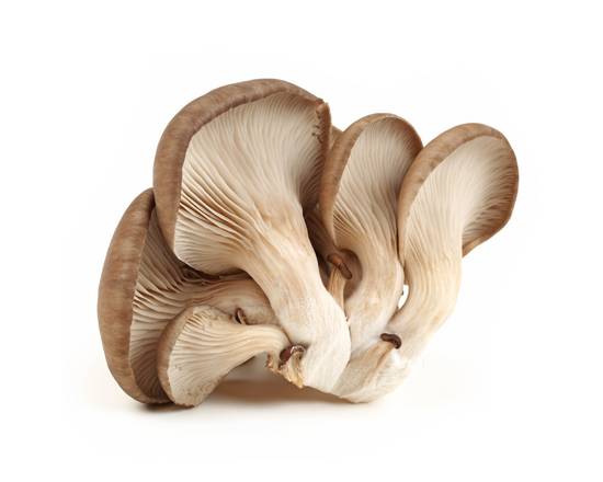 Order Oyster Mushrooms (3.5 oz) food online from Safeway store, Butte on bringmethat.com