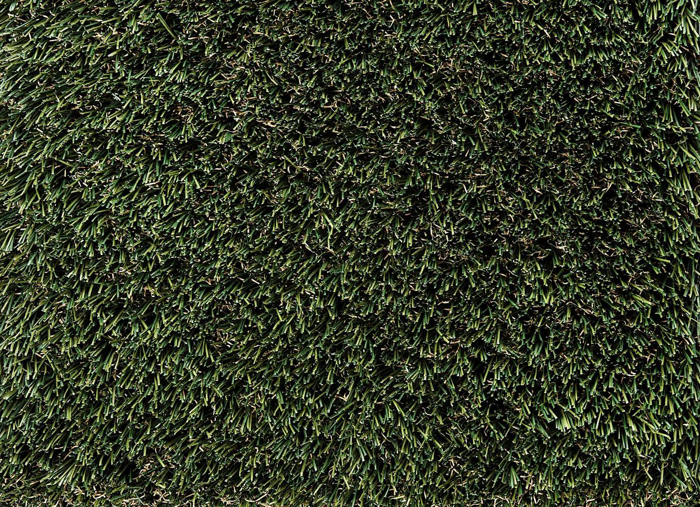 SYNLawn SYNLush Olive Roll-bar 12-ft Cut To Length Artificial Grass | LUSHO-8260-UJ-1200