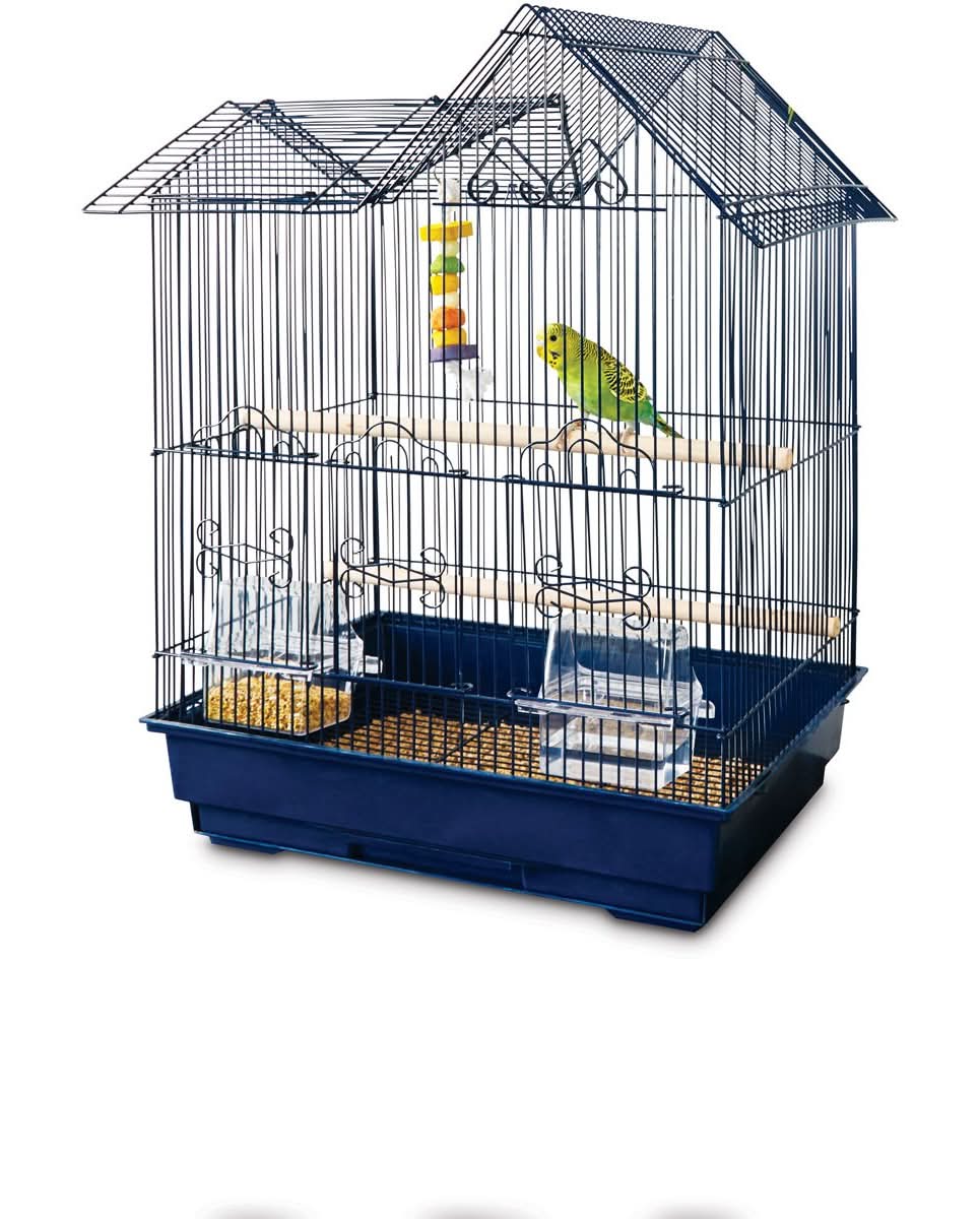 You & Me · Hábitat modelo rancho para loro, azul