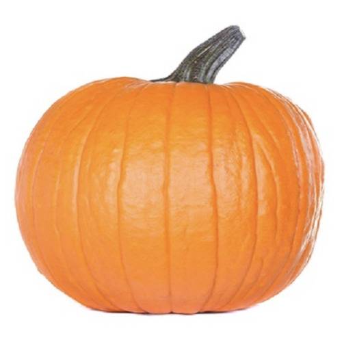 Citrouille 1 Un / Carving Pumpkin 1 Count