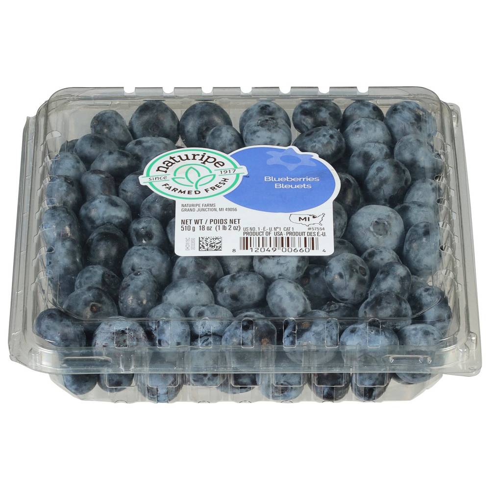 Blueberries 18 Oz