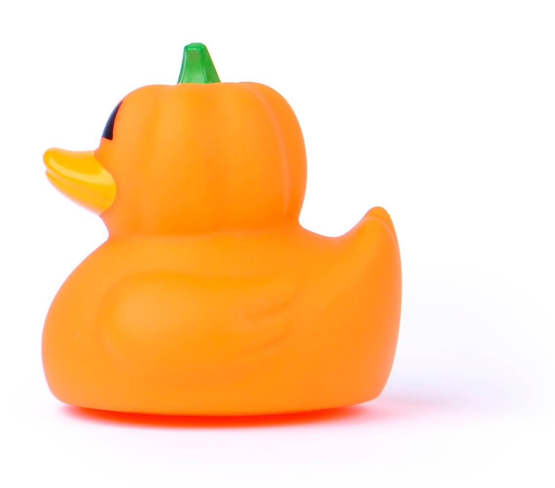 Ducks Pumpkin - Bullseye's Playground™