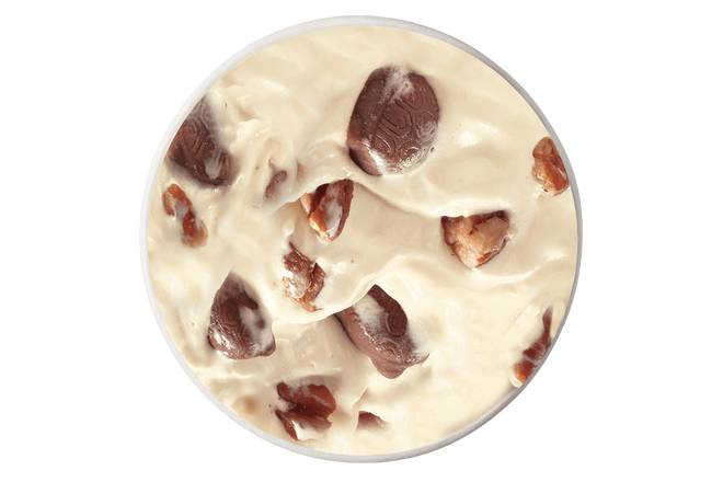 TURTLES® with Pecans BLIZZARD® Treat
