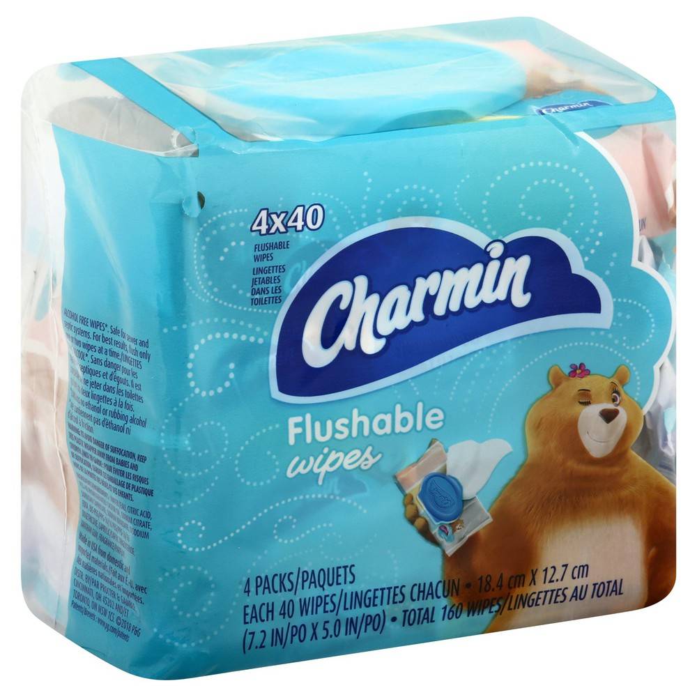 Charmin Flushable Wipes (4 pack)