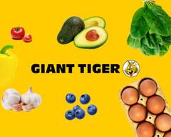 Giant Tiger (421 Greenbrook Drive)