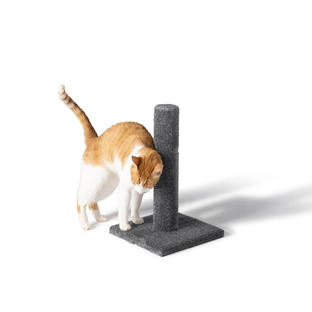 Whisker City Carpet Scratching Post, 19 inch