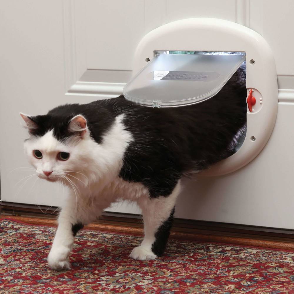 PetSafe® Big Cat Large 4-Way Cat Flap (Color: Assorted, Size: Large)