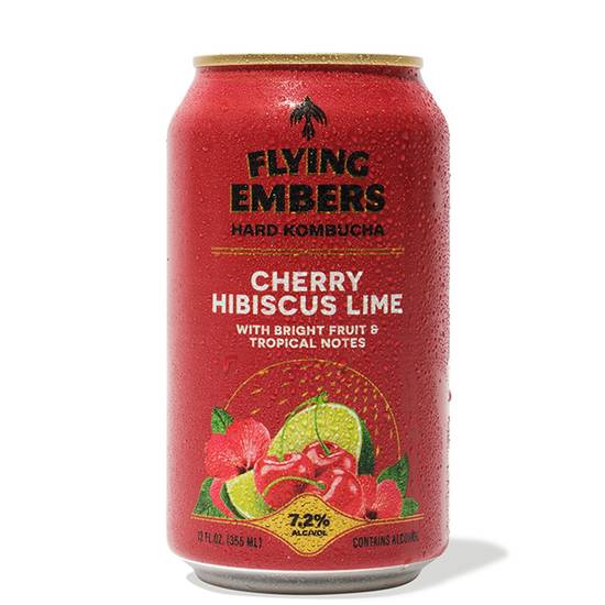 Flying Embers Hard Kombucha Beer (6 pack, 12 fl oz)