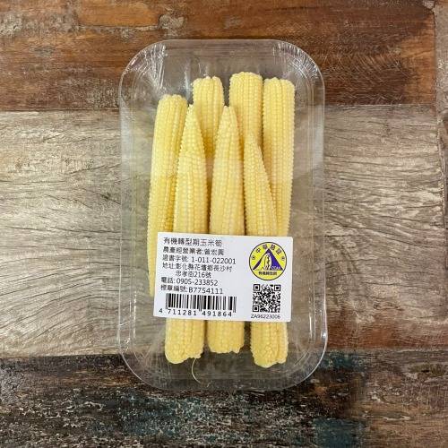 有機轉型期去殼玉米筍