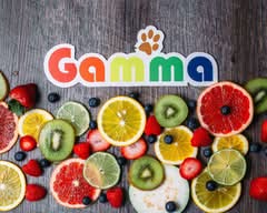 Gamma 中和店