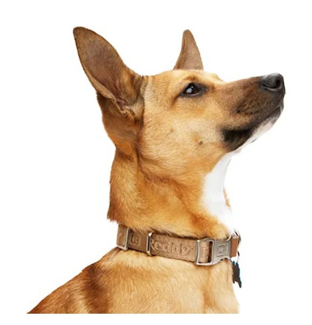 Reddy · Collar jacquard ajustable café m (40 g)