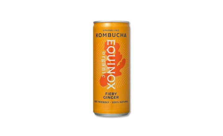 fiery ginger kombucha