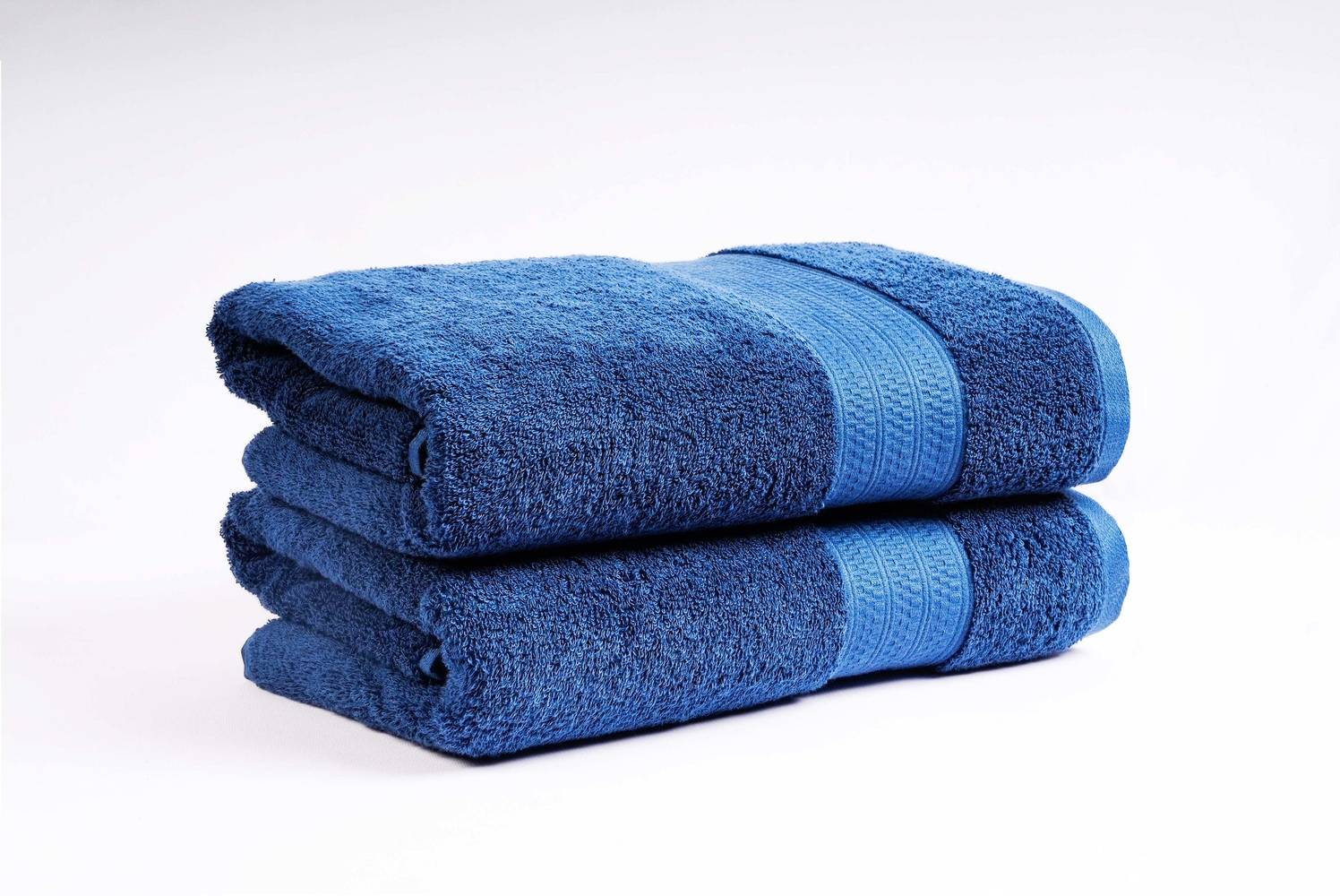 allen + roth 2-Piece Blue Cotton Bath Towel Set | TRNSFTBTBLU