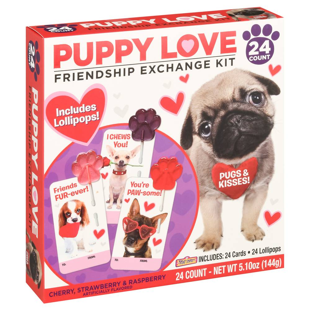 Puppy Love Artificially Flavored Cherry Strawberry & Raspberry Friendship Exchange Kit