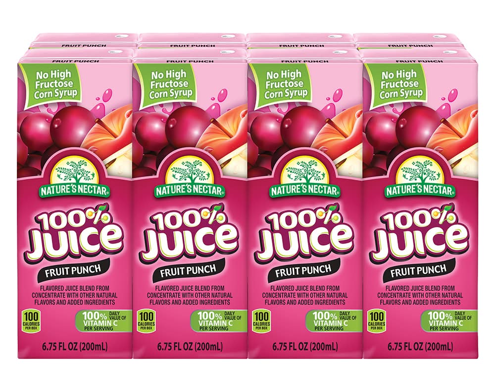 Nature's Nectar Fruit Punch 100% Juice
