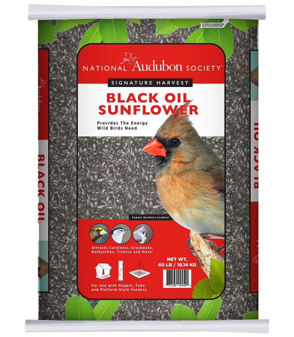 National Audubon Society Black Oil Sunflower Seed Bird Food 40-lb