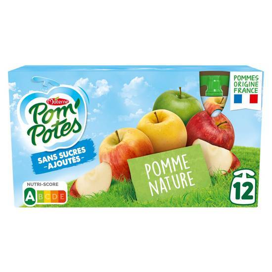 Materne - Pom'potes compotes de fruit sans sucres ajoutés (pomme)