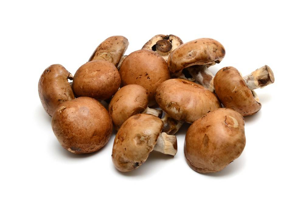 Monterey Mushrooms White Button Mushrooms (8 oz)