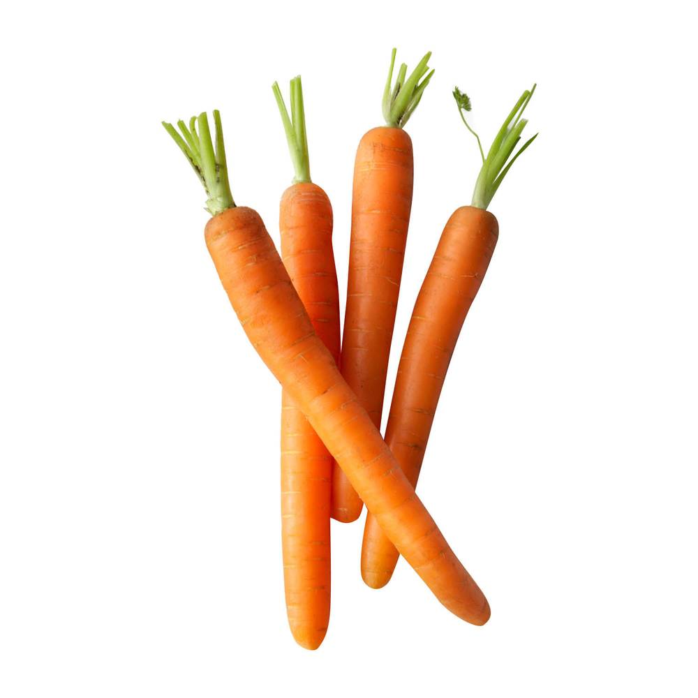 Zanahoria (unidad: 120 g aprox)