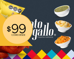 Santo Gallo Tlalnepantla Centro