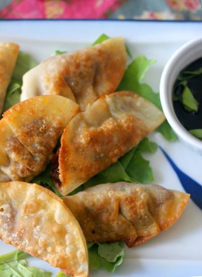 5 Fried Vegetable Dumplings