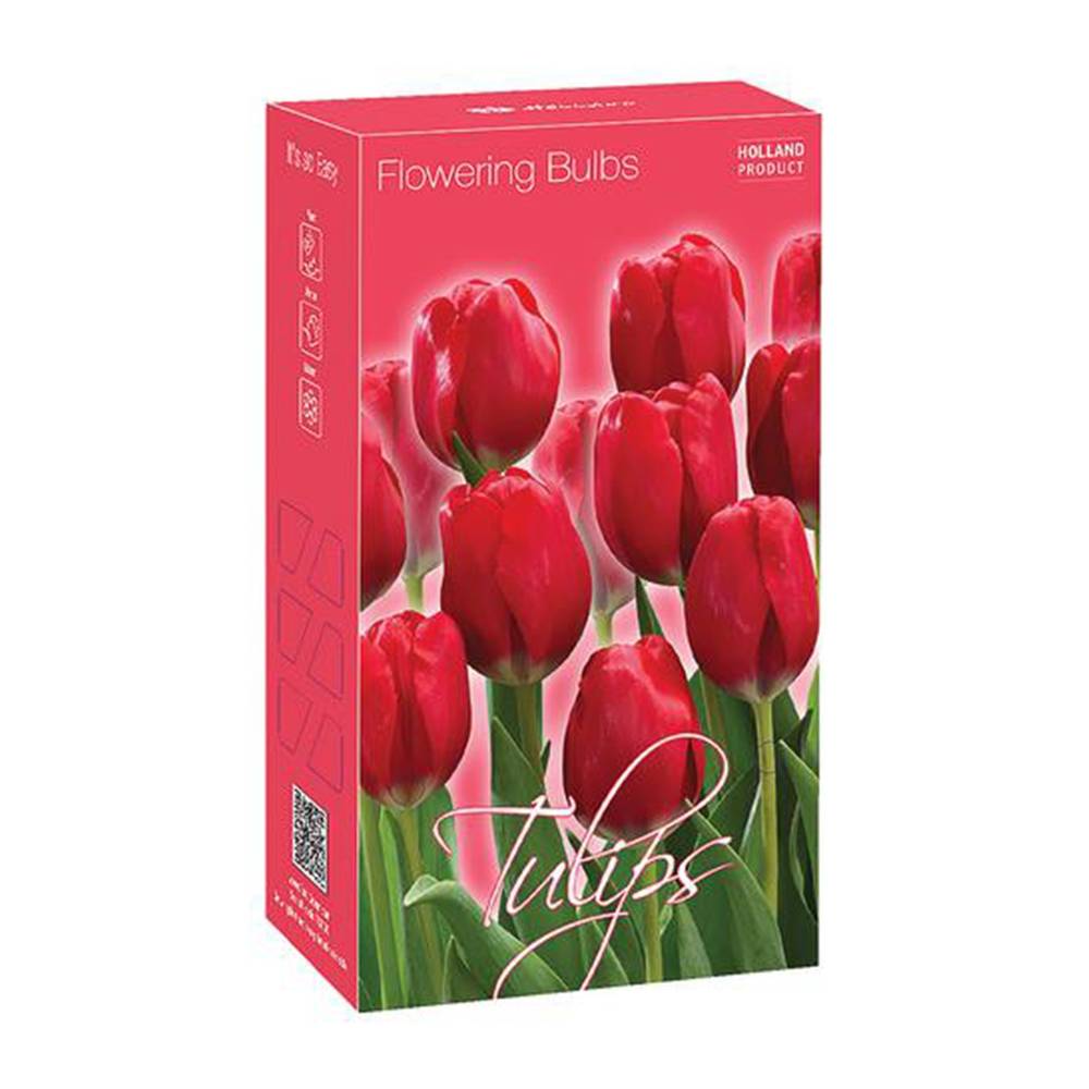 TotalGreen Tulips Fall Bulbs (Red)