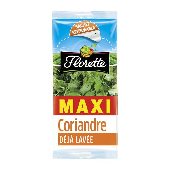 Florette - Coriandre