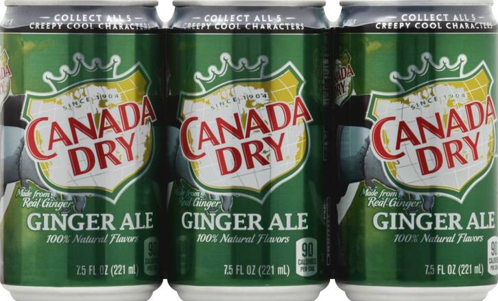 Canada Dry Mini Ginger Ale (6 x 7.5 fl oz)