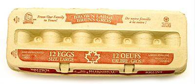 Burnbrae Farms Large Brown Eggs (12 ct)