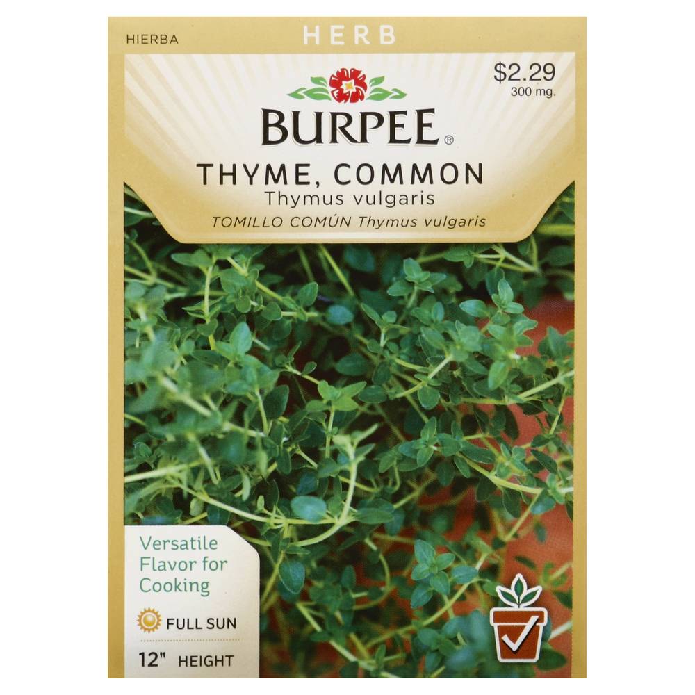 Burpee Thyme Common Thymus Vulgaris Herb Seeds (350 mg)