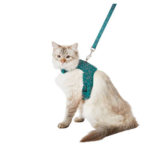 Merry & Bright™ Holiday Candy Cane Print Cat Leash & Harness Combo (Color: Green, Size: Cat (Adult))