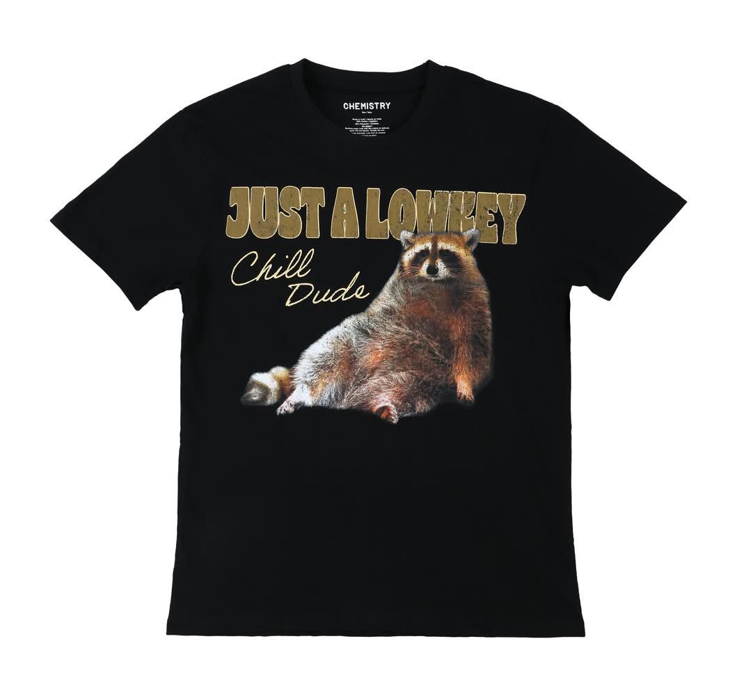 Raccoon Chill Dude Graphic Tee Medium Black