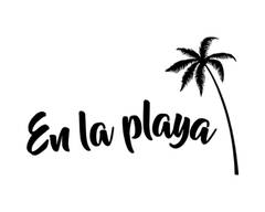 En la Playa (Puchuncavi)