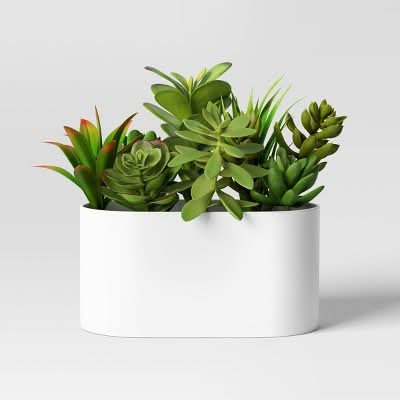 Room Essentials Succulent Arrangement in Long White Pot