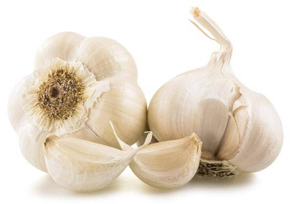 Jumbo Garlic