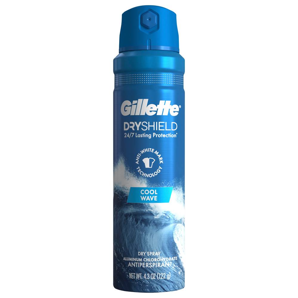 Gillette Dry Spray Antiperspirant and Deodorant For Men Cool Wave