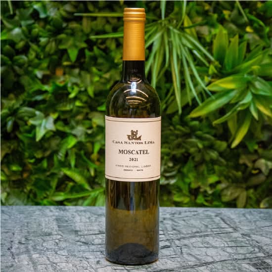 Vinho Branco - Casa Santos Lima "Moscatel"