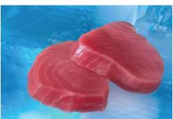 Frozen Yellowfin Ahi Tuna- 8 oz Steak - 5 lbs (1 Unit per Case)