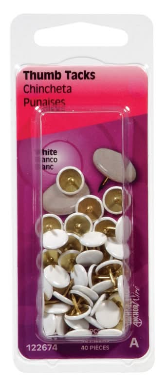 Hillman 5/16 In. L White Steel Thumb Tacks 40 Pk