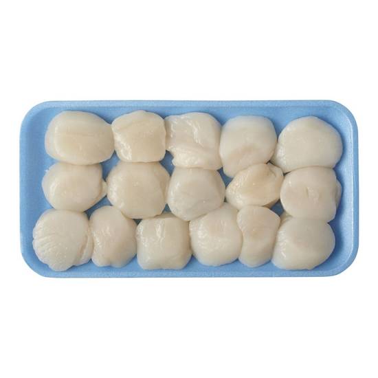 Great American Seafood Imports Co. Low in Fat Scallops (16 oz)