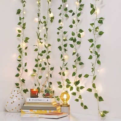 West & Arrow Led Vine Curtain String Lights, 5x3.5 in, Warm White