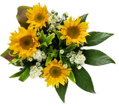 Sunflower Glow Bouquet Mixed (ea)