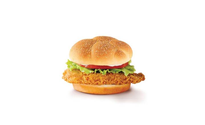 HOMESTYLE CHICKEN BURGER