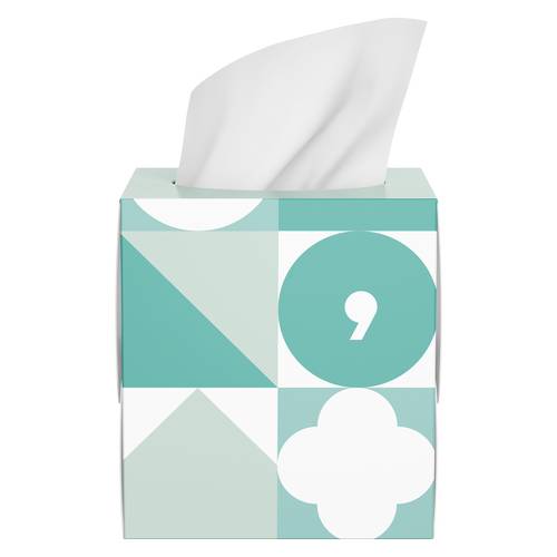 Basically, Soft Facial Tissues (8.4 in x 7.5 in)(80 ct)