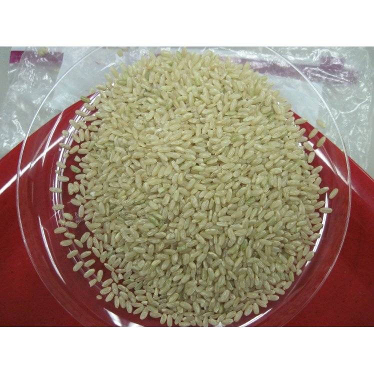 Lucky Long Grain Rice (50 lbs)