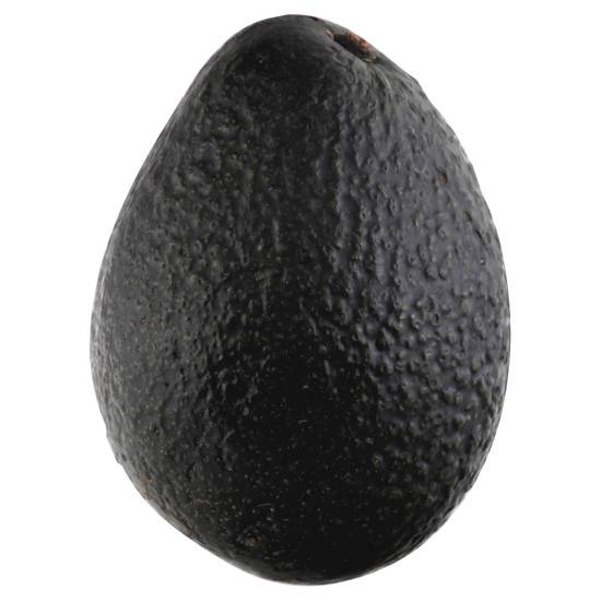 Extra Large Hass Avocado
