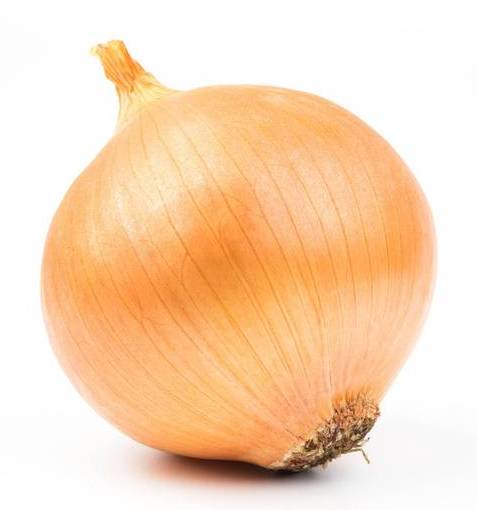 Oignon 1kg
