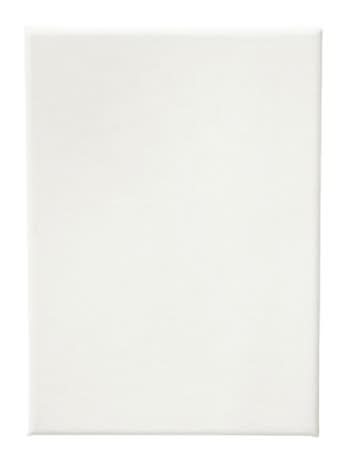 White Cotton Duck Canvas By Craft Smart