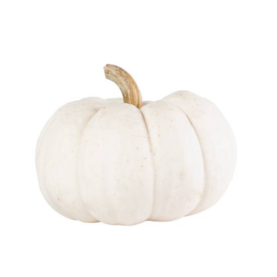 Organic White Mini Pumpkin