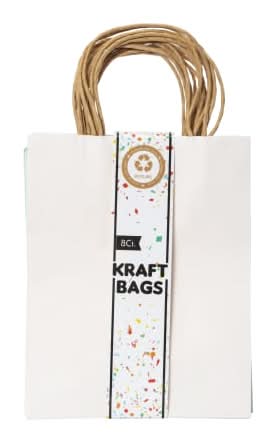 Medium Kraft Gift Bags 10in x 7.95in Pastel